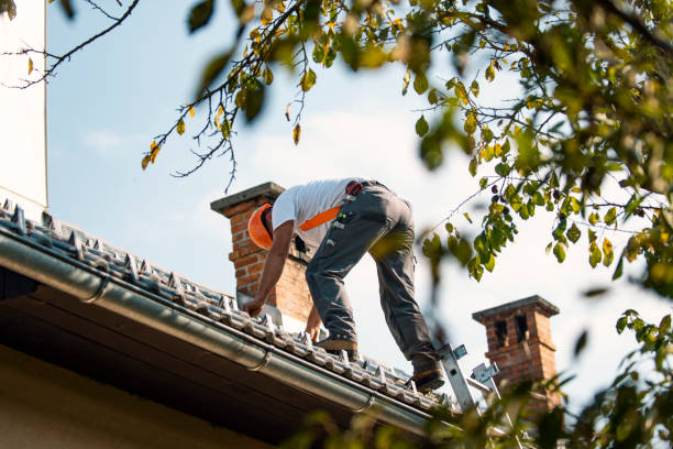 Professional Roofing service in Roseville, OH