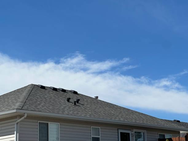 Best Wood Shake Roofing  in Roseville, OH